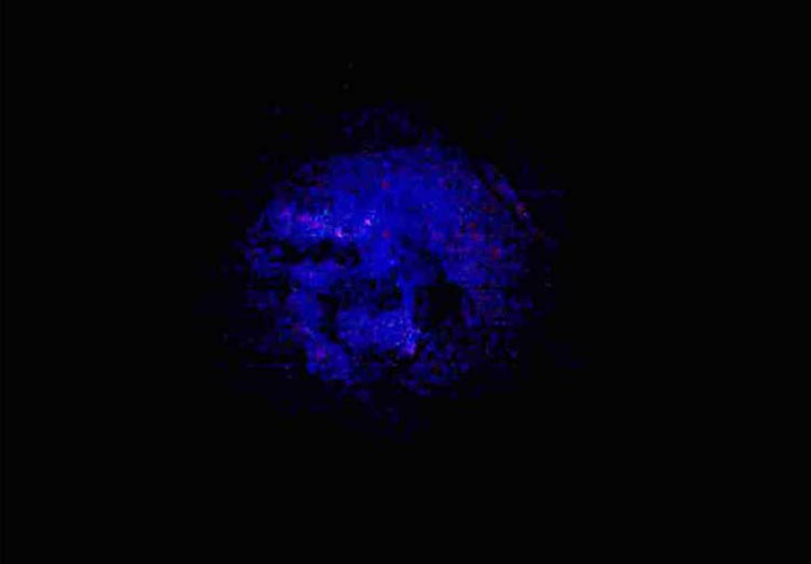 Das Erscheinen des Monsieur Clermand